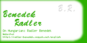 benedek radler business card